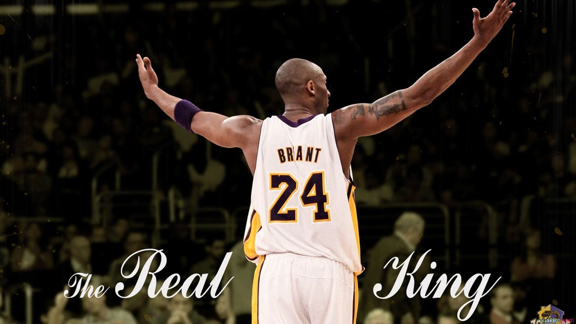 开云APP-霍勒迪一人打爆猛龙！深圳队惊艳逆袭，对手完全无解的背后秘密